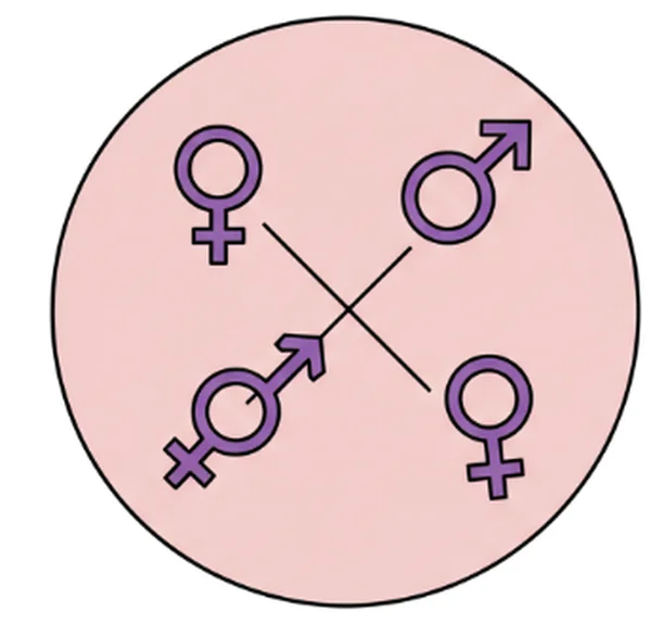 Venn diagram comparing pansexual and bisexual attractions
